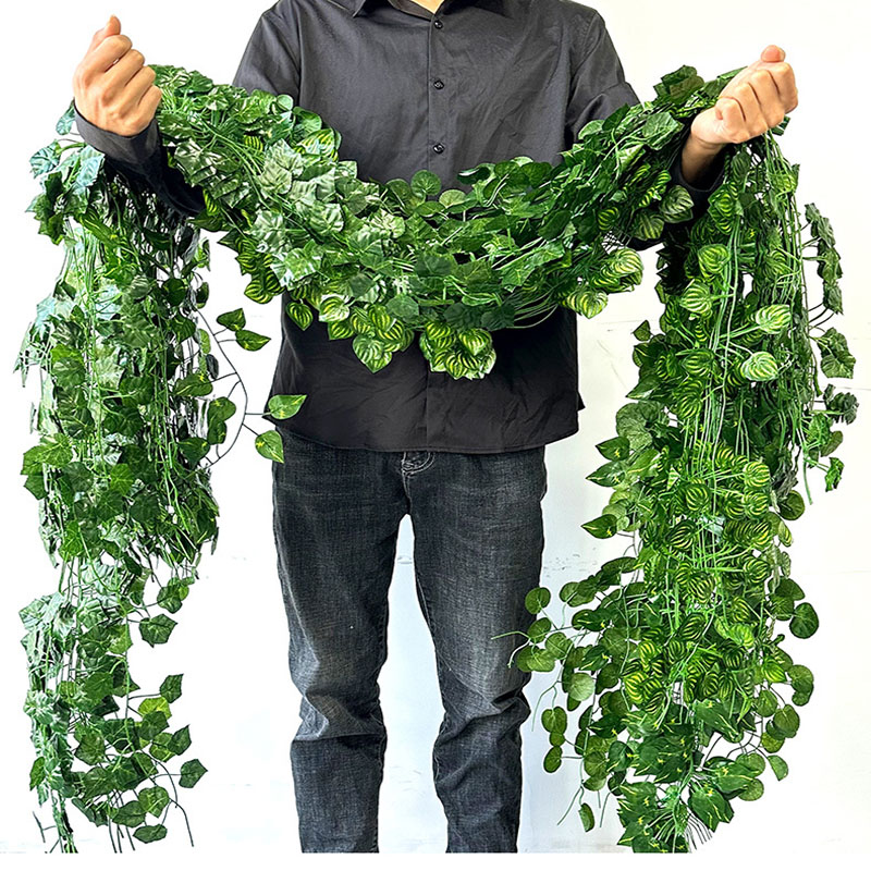 Hoja de hiedra verde de 2,1 M, - String Of Pearls Plant reseña y precio