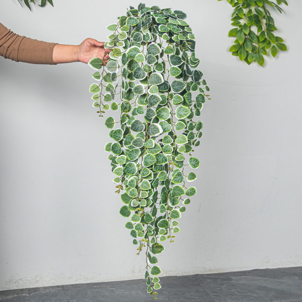 enredaderas colgantes artifici - String Of Pearls Plant reseña y precio