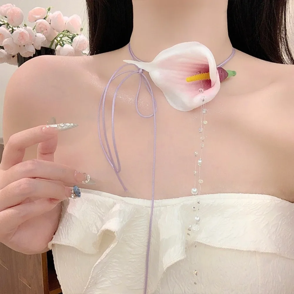 Moda exagerada Calla Lily colg - String Of Pearls Plant reseña y precio