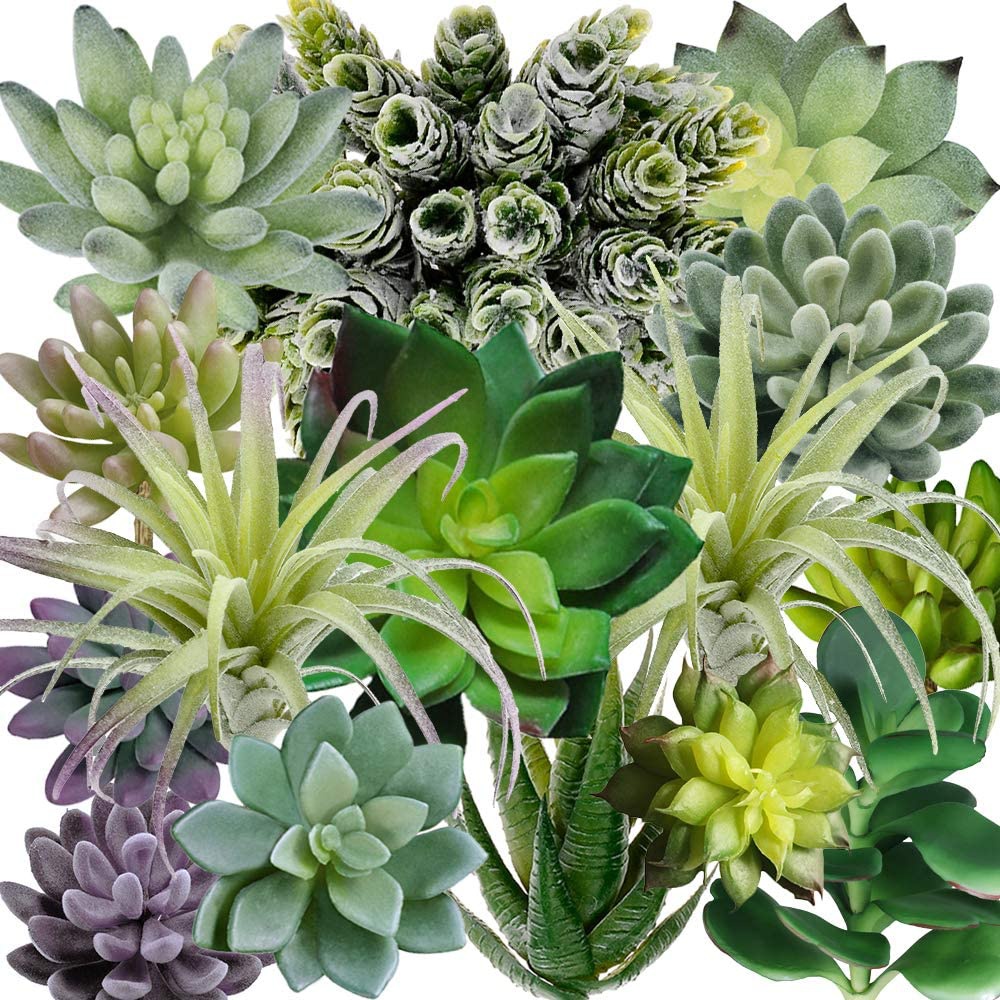 Paquete de 15 Suculentas Artif - String Of Pearls Plant reseña y precio
