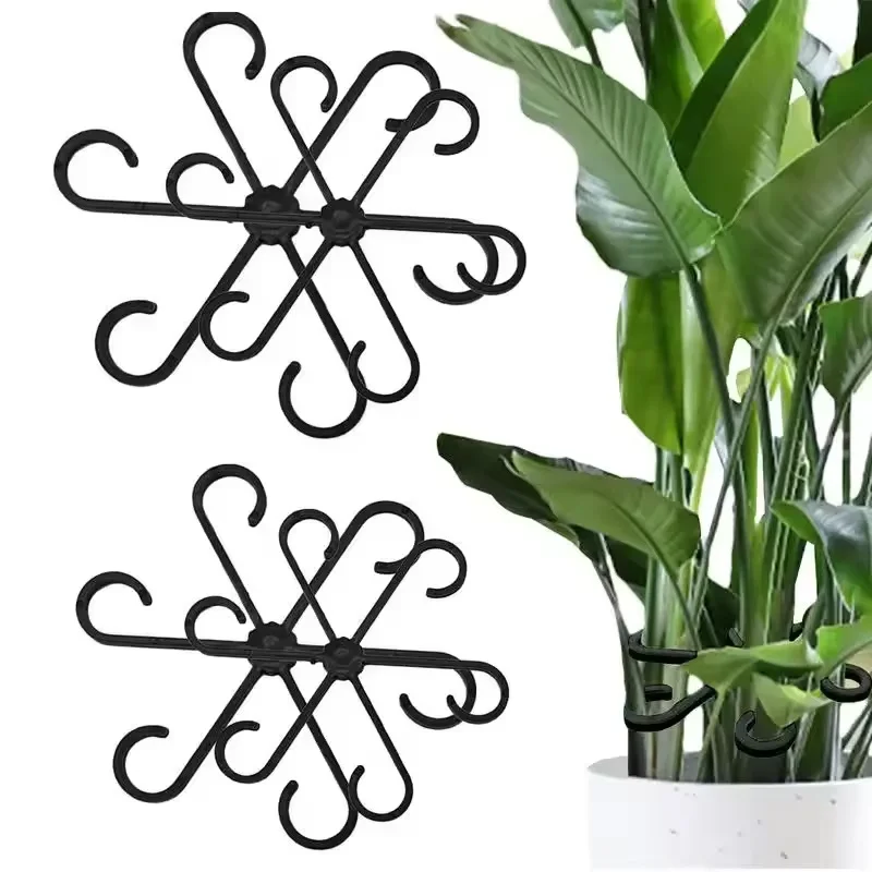 Soportes para tallos de Alocas - Variegated Monstera Node reseña y precio