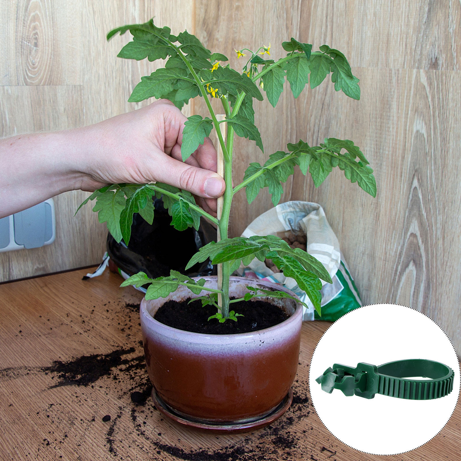 20 Piezas de Hebillas de Fijac - Plants X reseña y precio