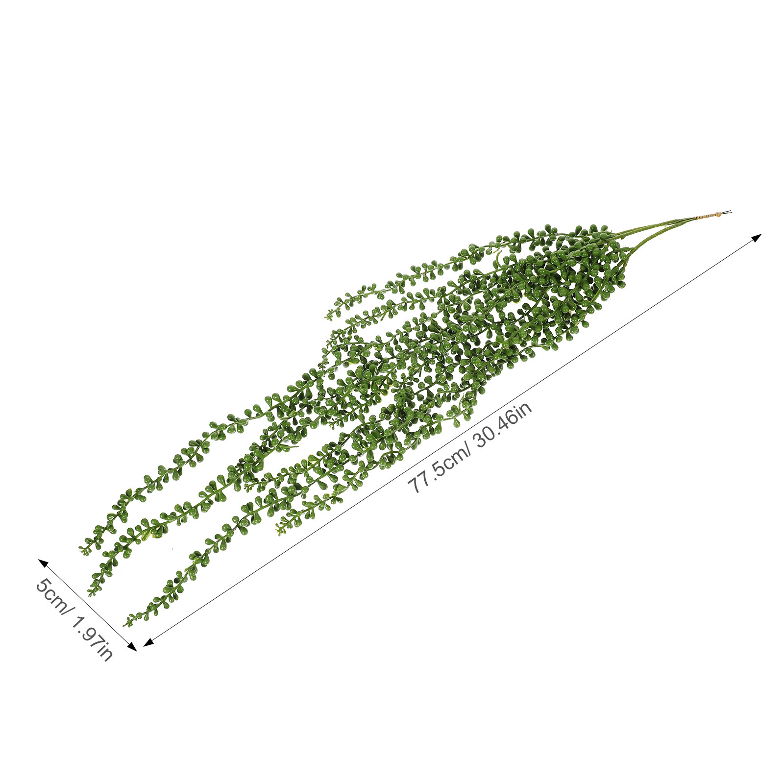3 Piezas de Plantas Colgantes  - String Of Pearls Plant reseña y precio