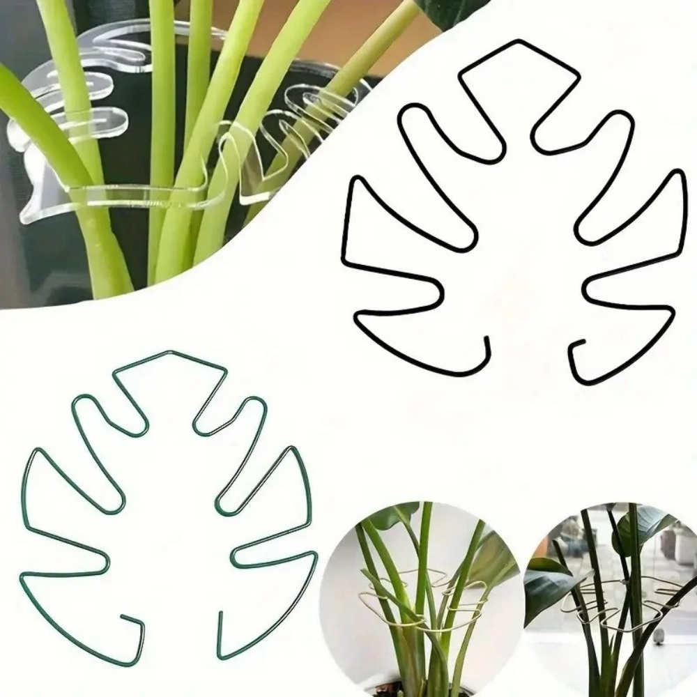 Soporte grande para plantas de - Variegated Monstera Node reseña y precio