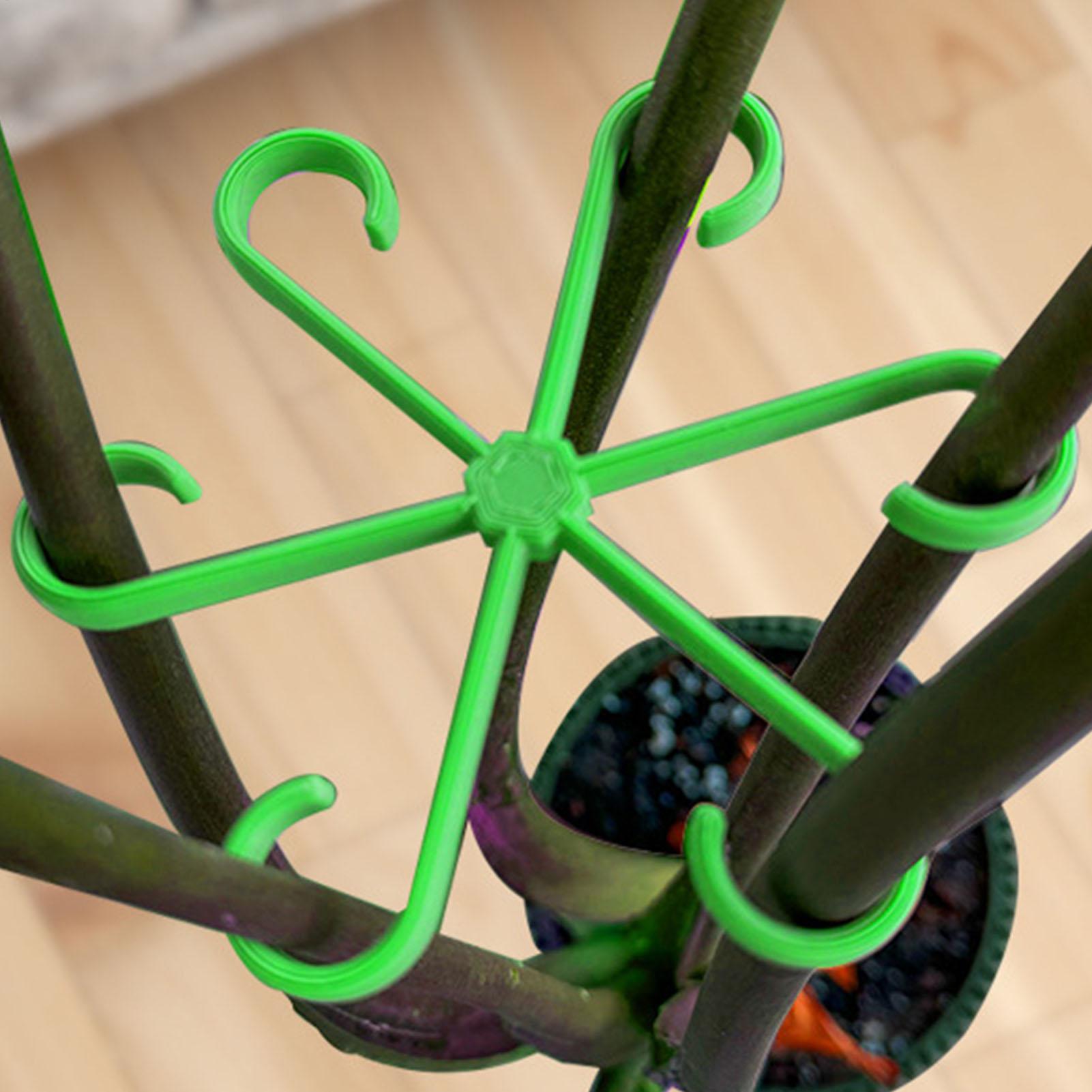4 Clips de Soporte para Tallos - Variegated Monstera Node reseña y precio