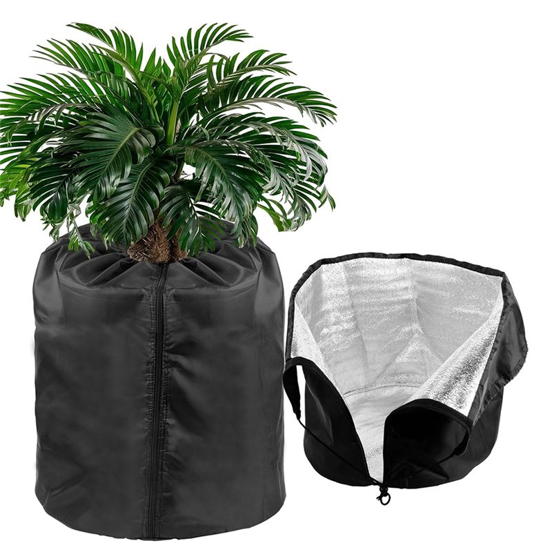 Paquete de AEE4-2 fundas para  - Plants X reseña y precio