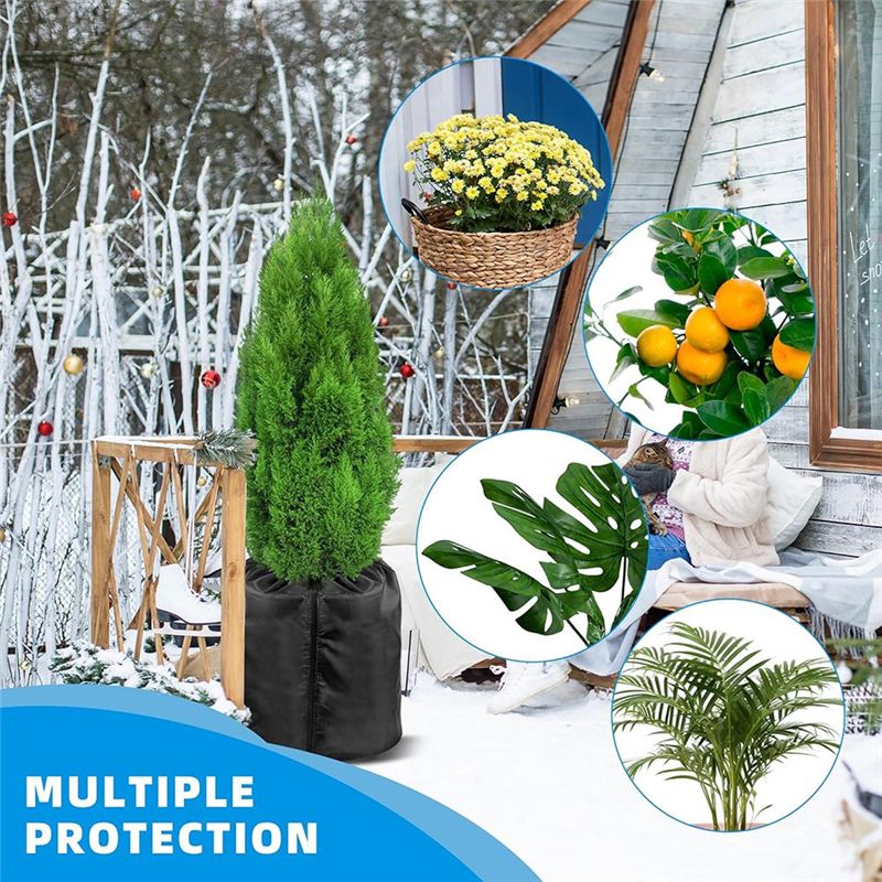 Paquete de AEE4-2 fundas para  - Plants X reseña y precio