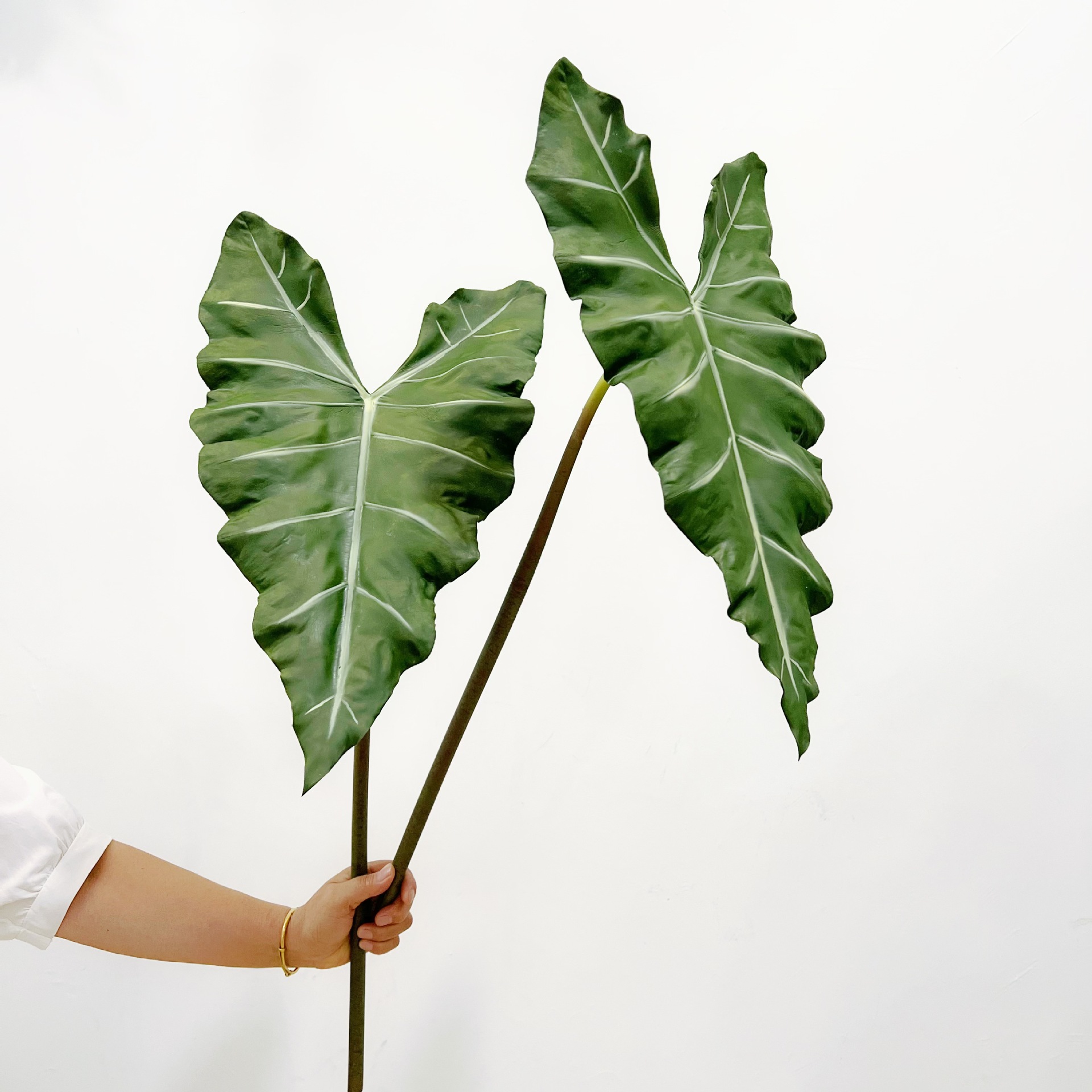 Planta verde de PU larga simul - String Of Pearls Plant reseña y precio