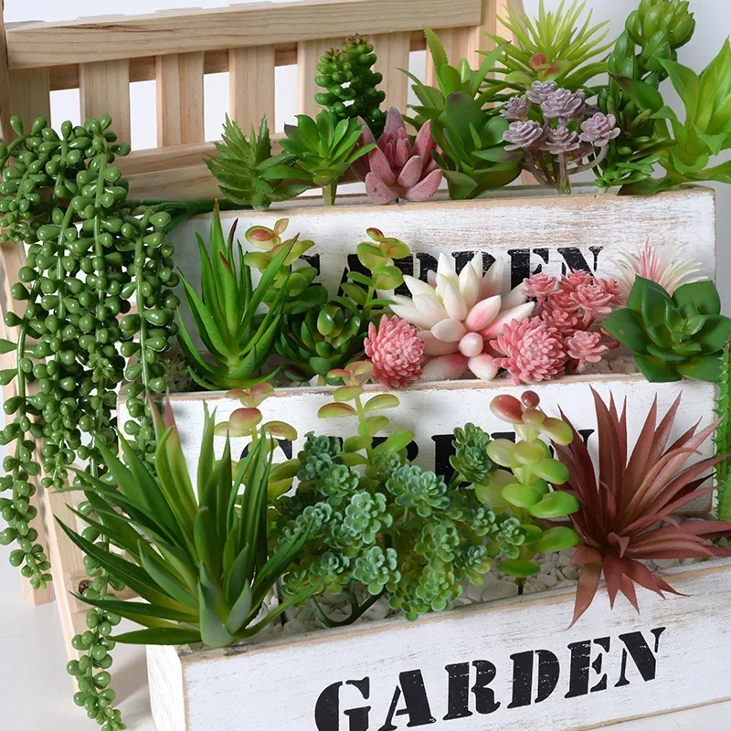 10/20 Piezas de Plantas Sucule - String Of Pearls Plant reseña y precio
