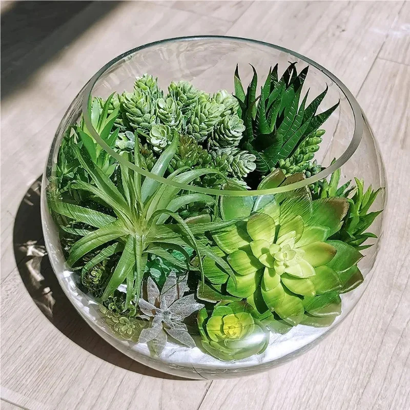 10/20 Piezas de Plantas Sucule - String Of Pearls Plant reseña y precio